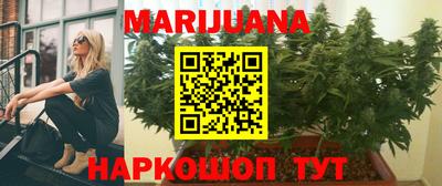 сатива Будённовск