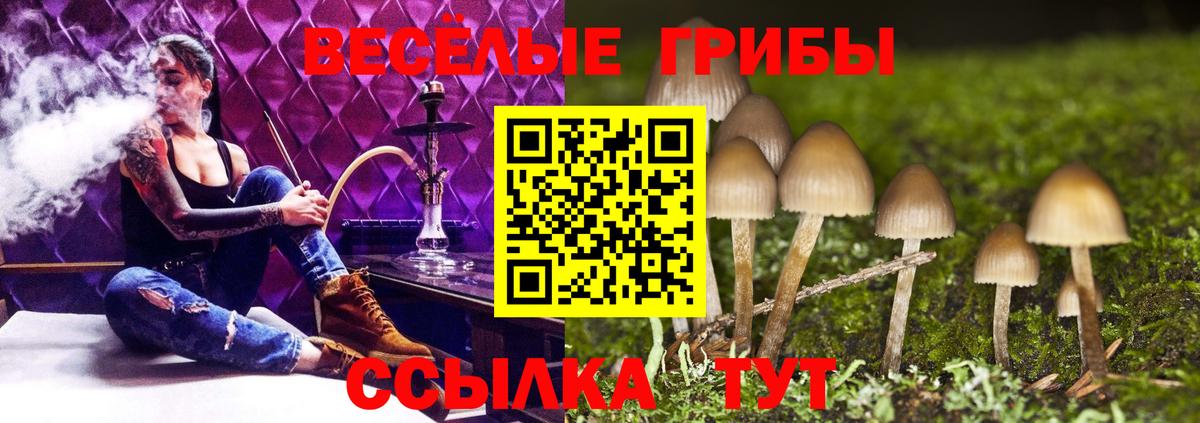 Галлюциногенные грибы мухоморы  Галлюциногенные грибы Cubensis  дарнет шоп  Кострома  Вход с VPN 